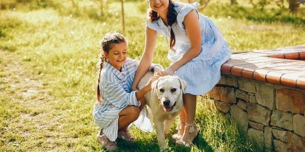 Luxury Dog Boarding Pensacola – Comfort for Your Pet