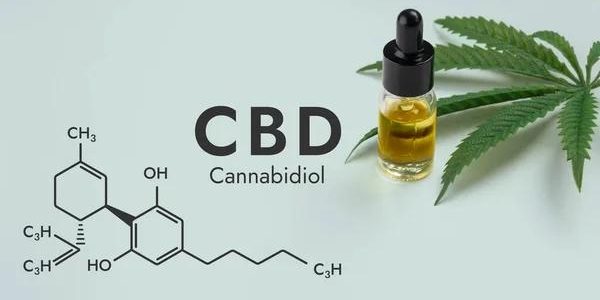 CBD and Natural Wellness: A Path to Mind-Body Harmony